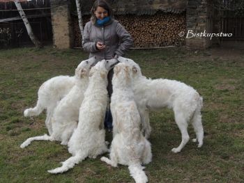 Lovka a její čtyři dcery